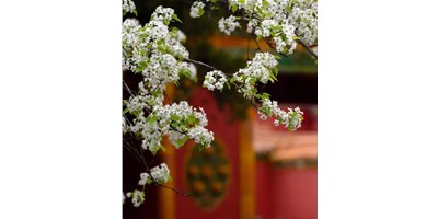 【展会资讯】尊龙凯时人生就是博5月展会一览，等您来参观！